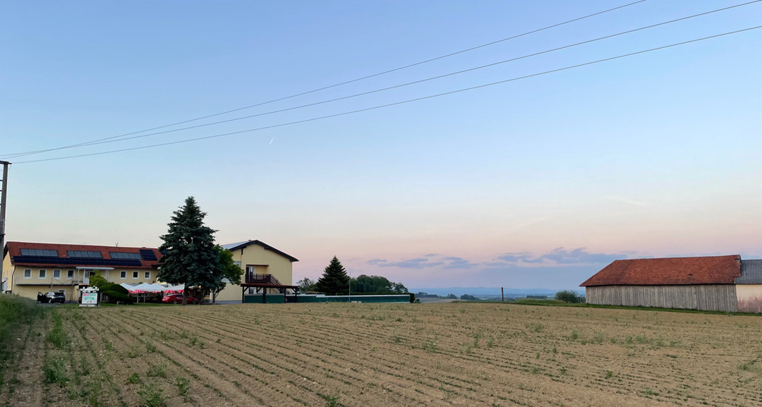 Pension Weinbauer near Steyr