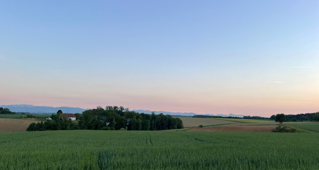 view from Pension Weinbauer