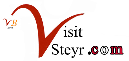 Logo du site
